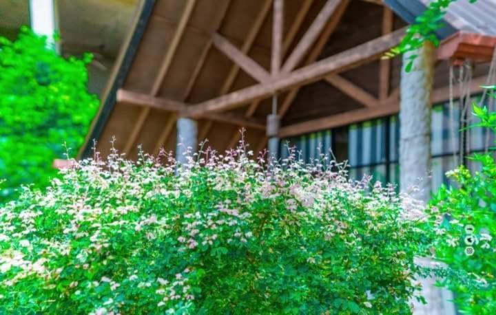 Passi Nature Villas Passikudah カルクダ エクステリア 写真
